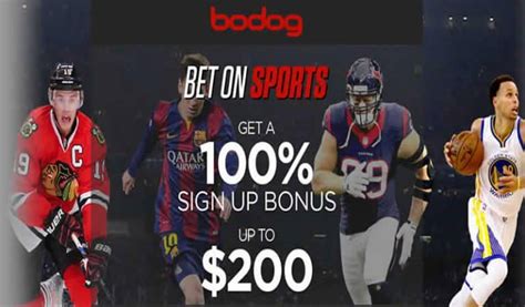 bodog sports book|best online sportsbooks for usa.